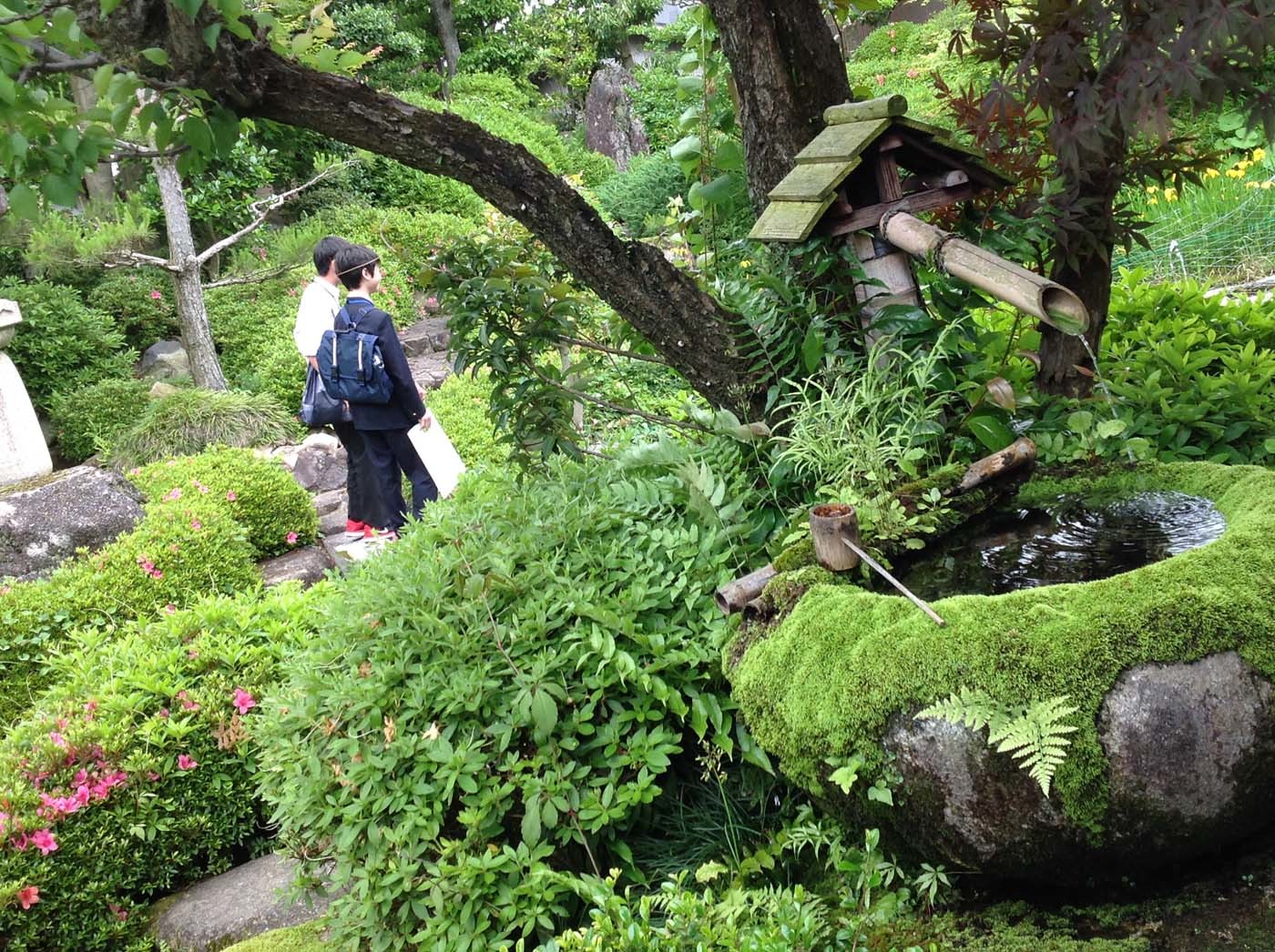 緑豊かな庭を歩く中学生