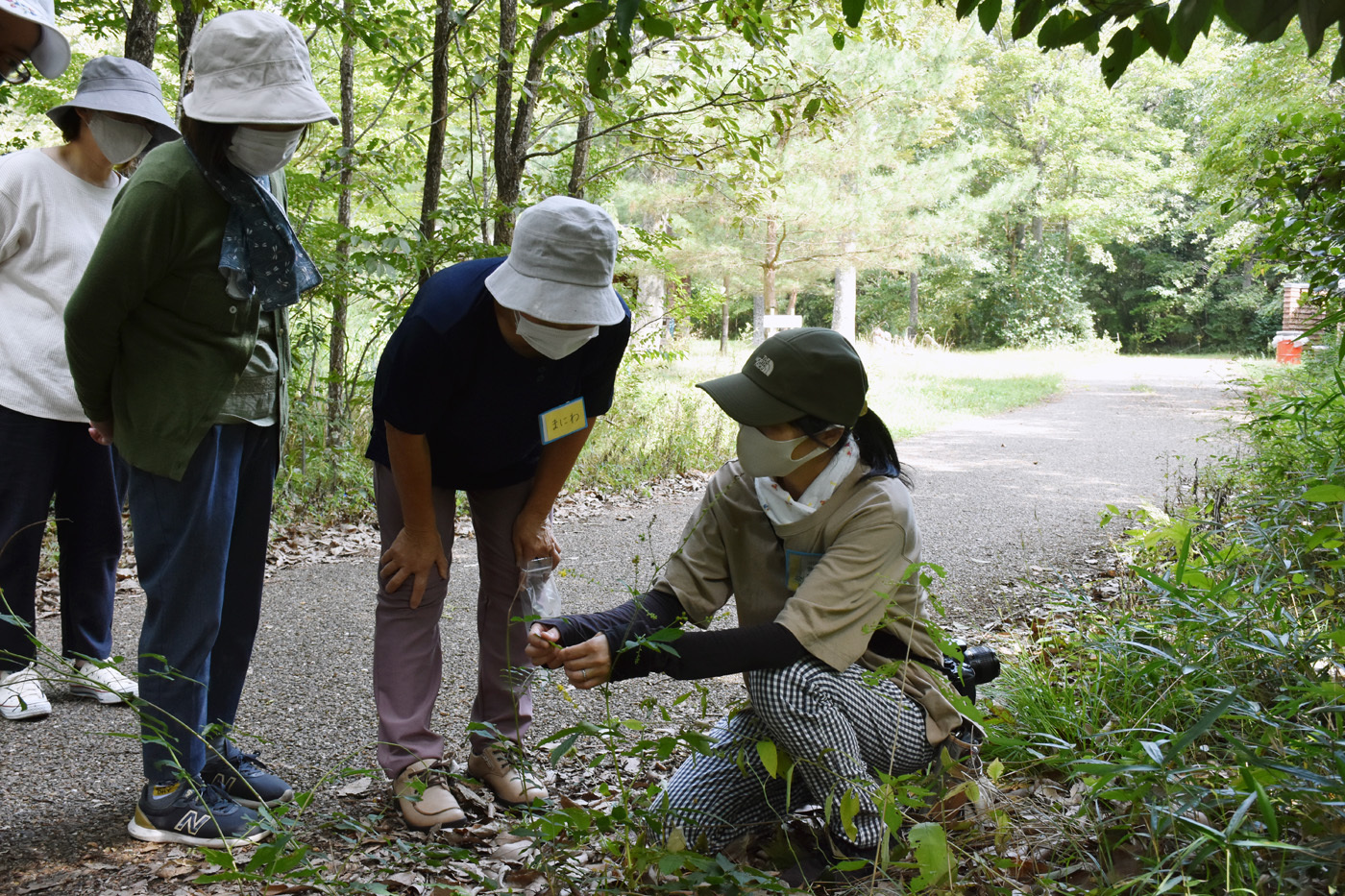 森で生息する植物や昆虫の説明を聴く参加者