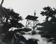 延命寺山　展望台（昭和29年11月）の写真を開く