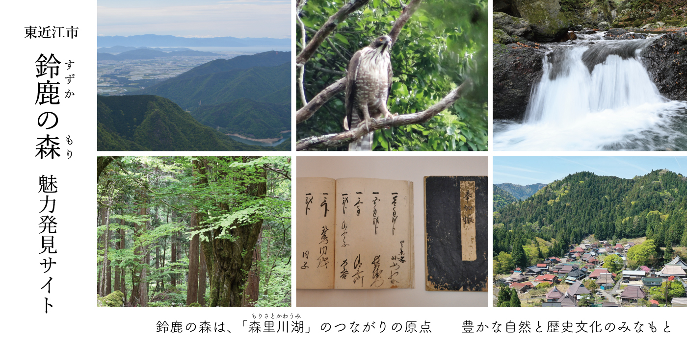 鈴鹿の森魅力発見サイト