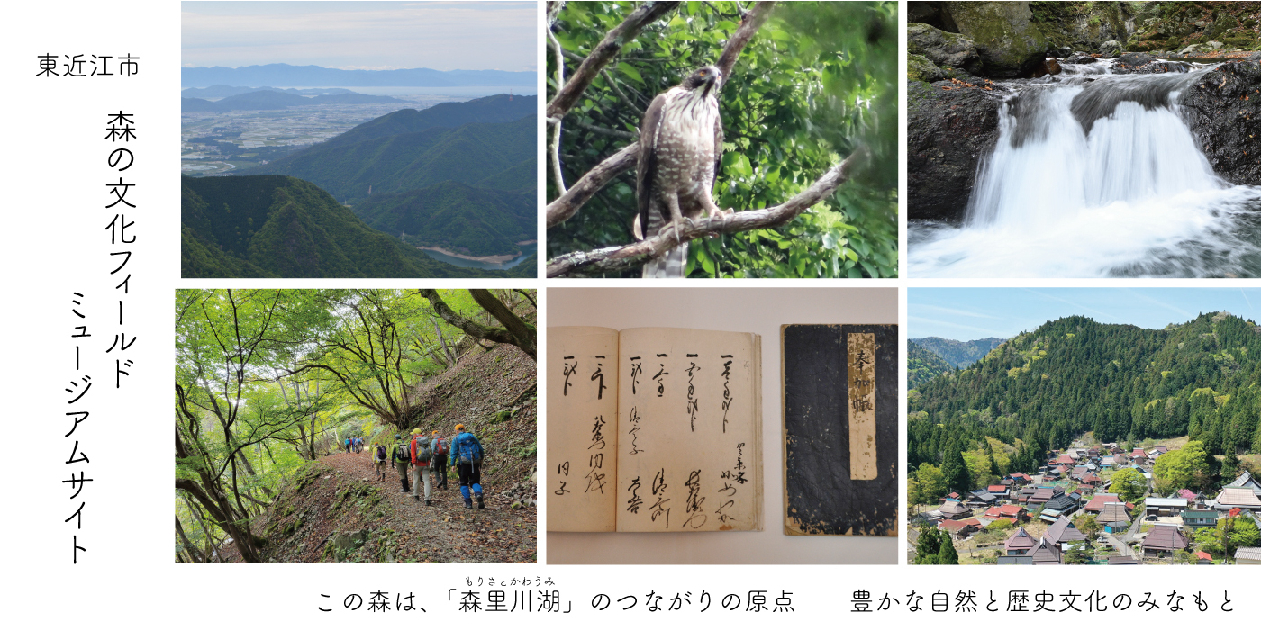 森の文化フィールドミュージアムサイト