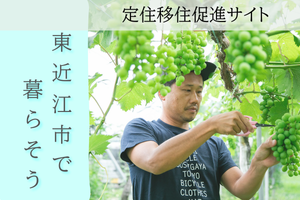 定住移住サイト