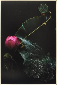 写真：作品2