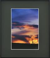 写真：特選作品　ベトナム砂丘の夕照