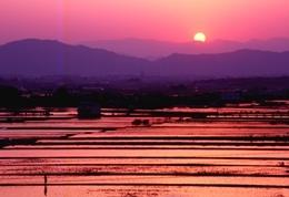 写真：湖東平野の眺望