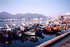 写真：統營の漁港