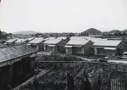 写真：八日市町営住宅（昭和29年）