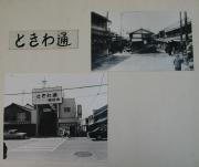 写真：ときわ通り