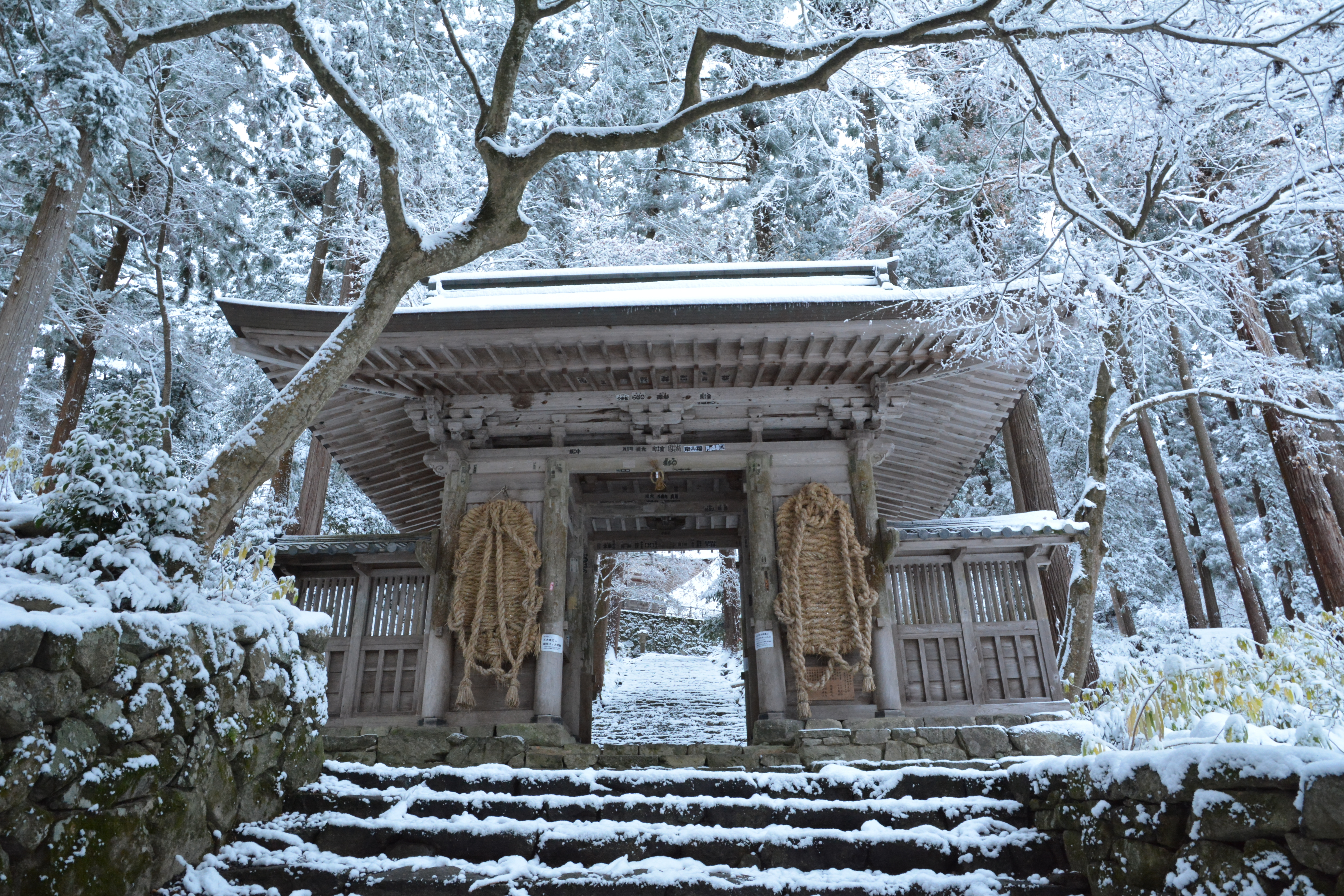 雪の百済寺