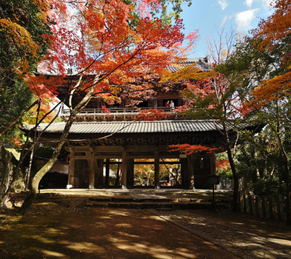 紅葉の永源寺