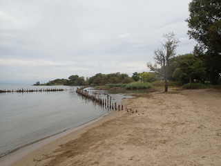 清掃後の琵琶湖岸（栗見出在家町地先）写真2