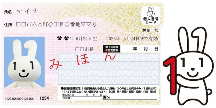 マイナンバーカード見本