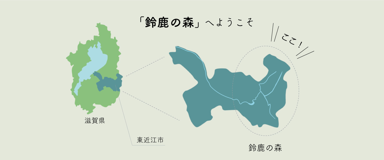 鈴鹿の森とは