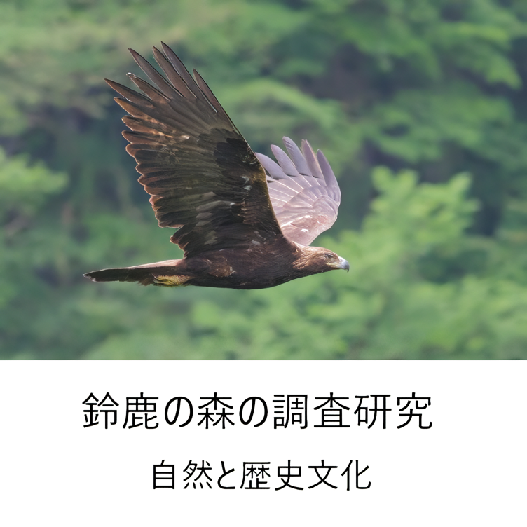 調査研究