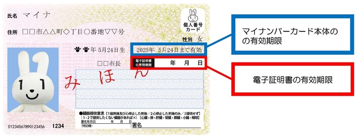 有効期限の記載箇所