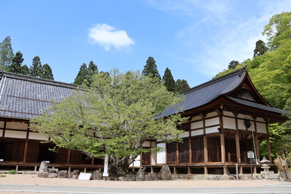 百済寺の風景