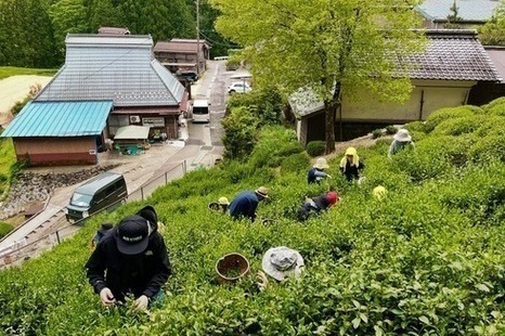 おちゃつみ