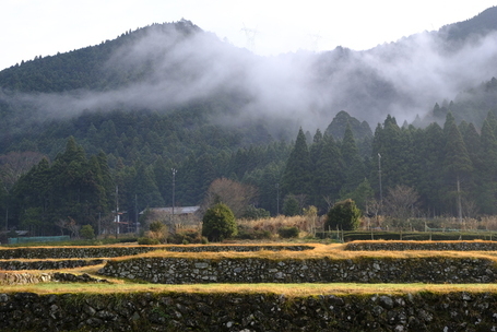 kiwada