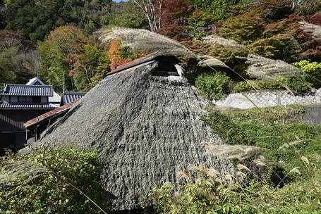 政所