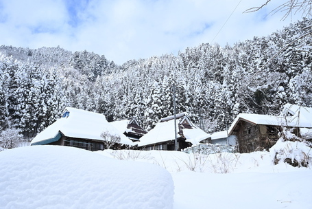 kimigahata