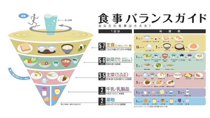 食事ガイドバランス