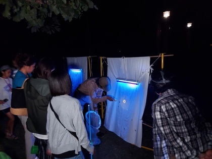 虫を観察している様子