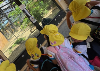 五個荘あじさい6月