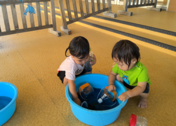 永源寺もみじ8月