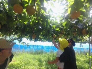 建部幼稚園