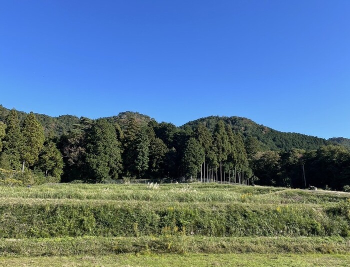 「上山町神明ともいきの里山」