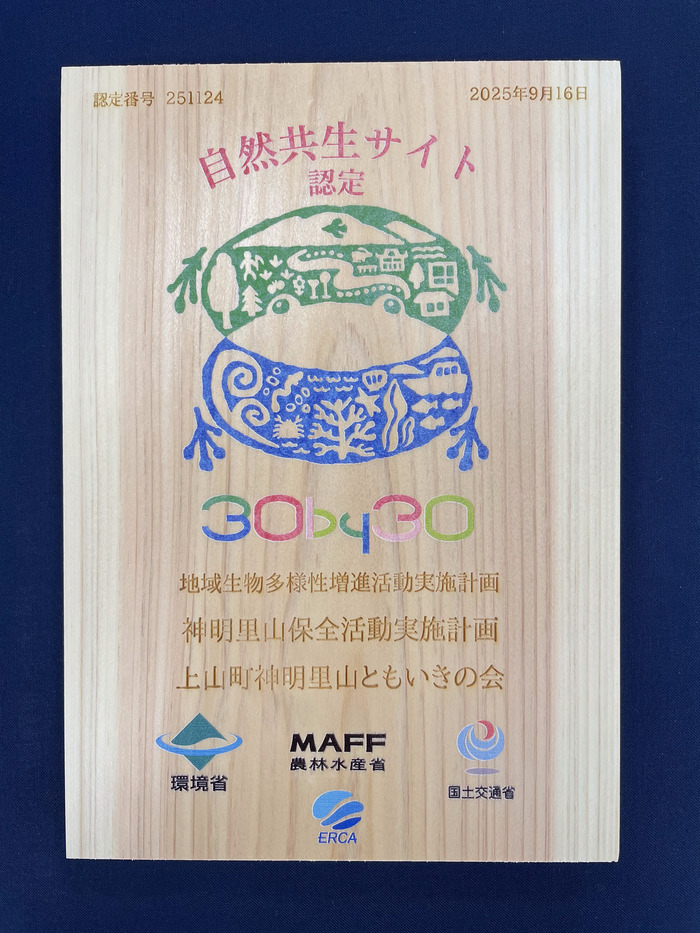 木製の記念