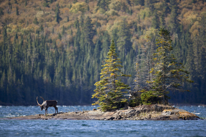 大竹英洋写真データ