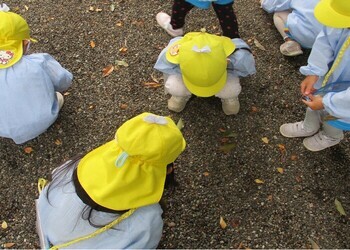 五個荘あさひ幼児園