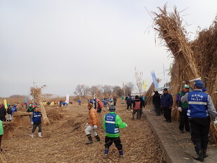 ヨシ刈り　集合写真