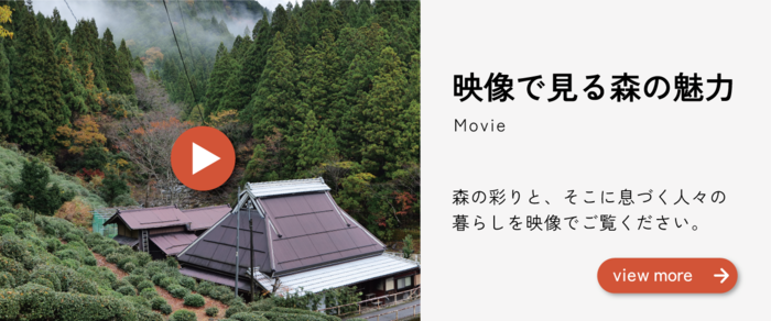 HPサムネイル（外部リンク・新しいウィンドウで開きます）