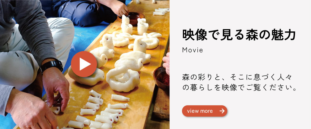 HPサムネイル（外部リンク・新しいウィンドウで開きます）