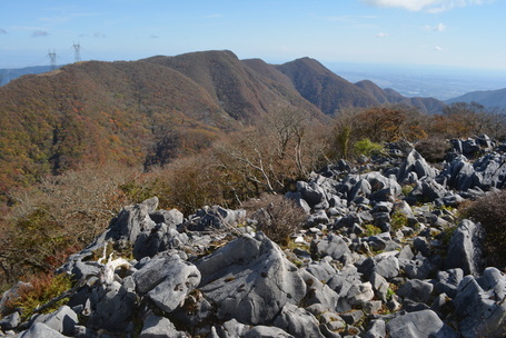 かれんふぇると