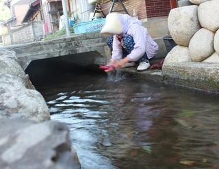写真：暮らしに溶け込む青山井
