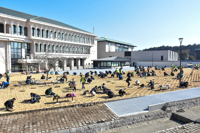 写真：芝生広場