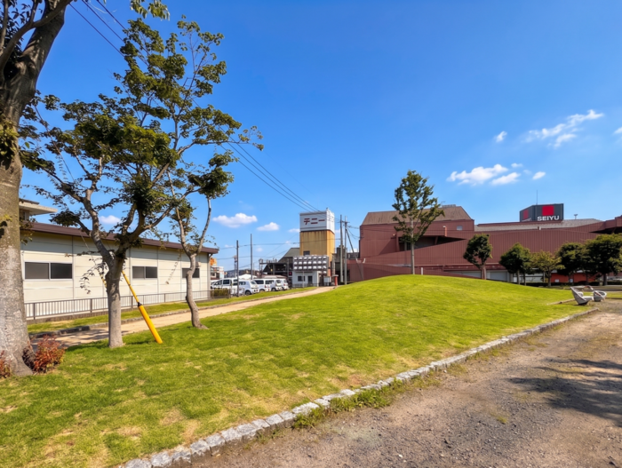 写真：築山広場