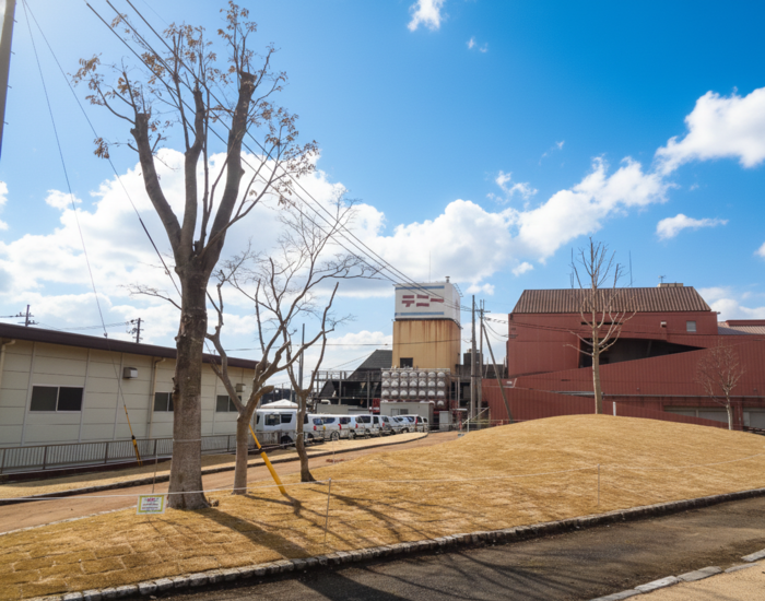 写真：築山エリア