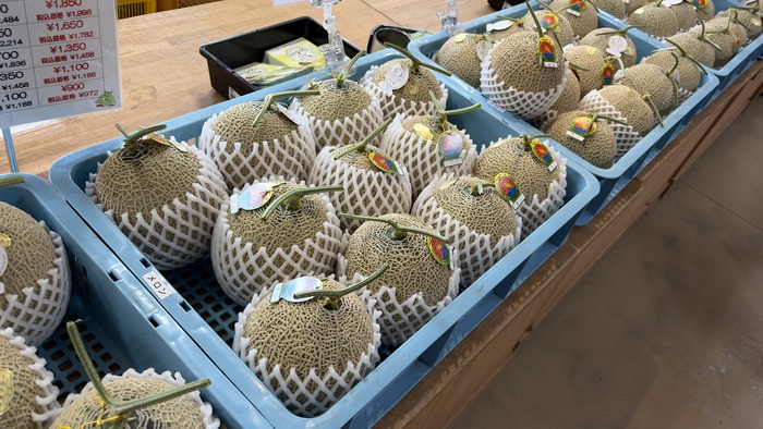 あいとうメロンの特徴