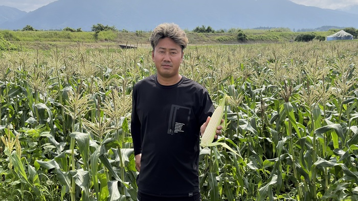 愛東かもコーン愛の純白