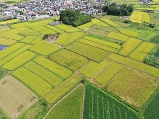 写真：空中撮影された農地
