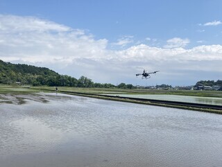 写真：水田の上を飛ぶドローン