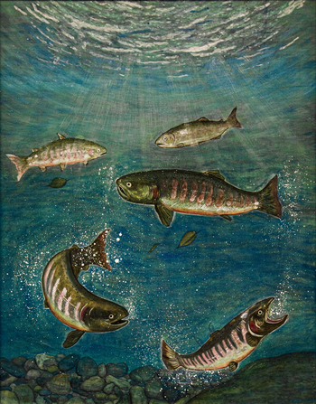 佳作「碧き湖に抱かれて遡上を待つびわマス」