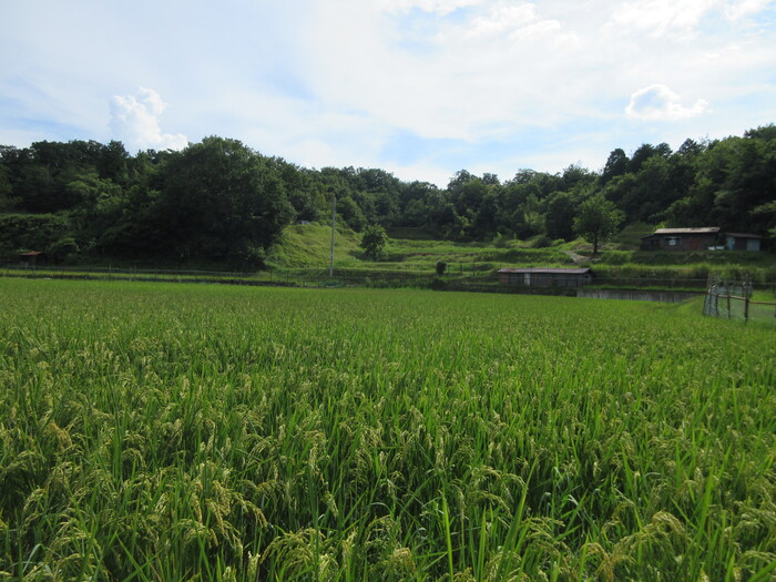 永源寺の里山の風景写真
