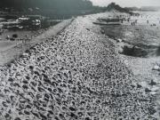 愛知川の決壊[2]（昭和13年9月）の写真を開く